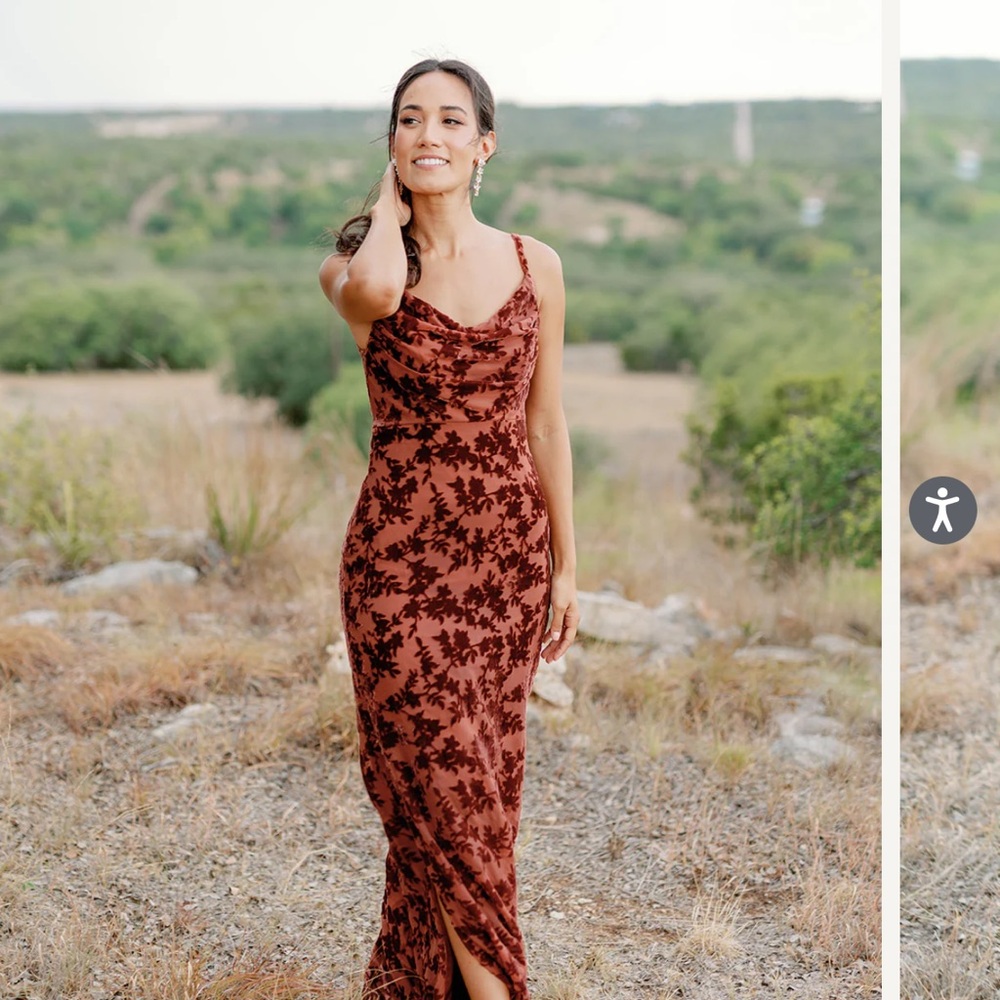 Revelry Terracotta Velvet Dress